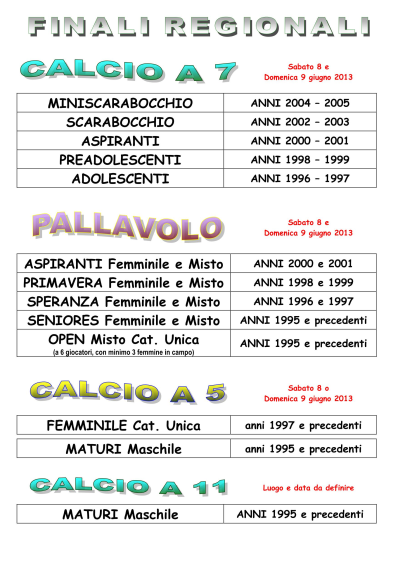 Volantino2013-P3-